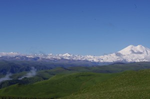 IMGP3888